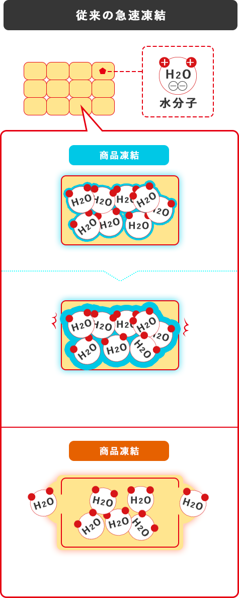 プロトン凍結原理の図