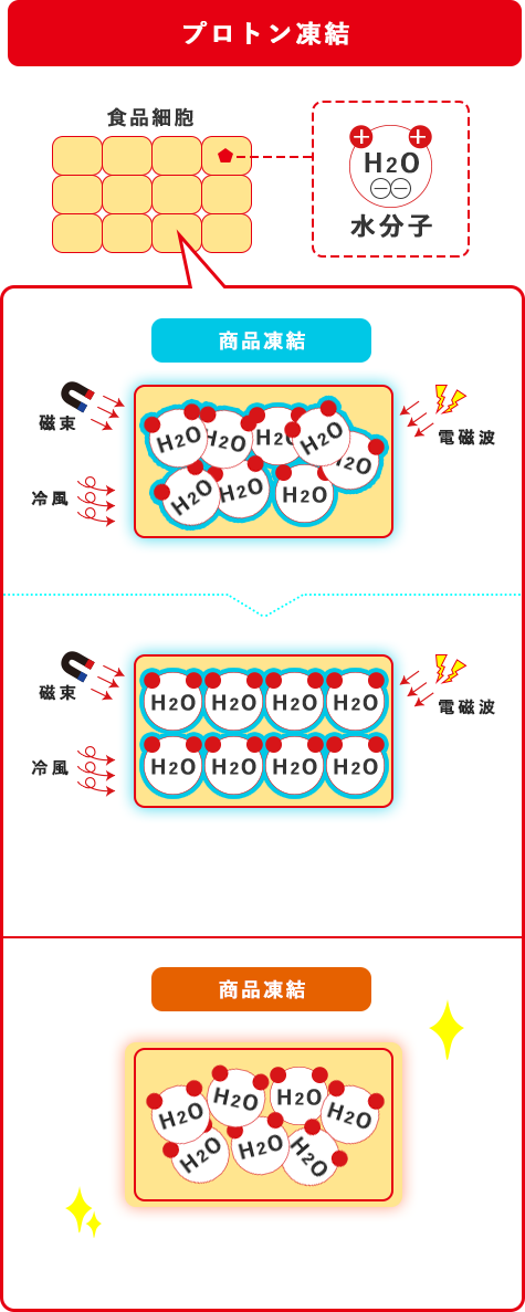 プロトン凍結原理の図