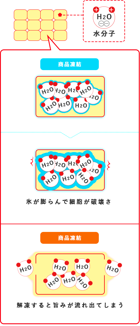 従来の急速凍結