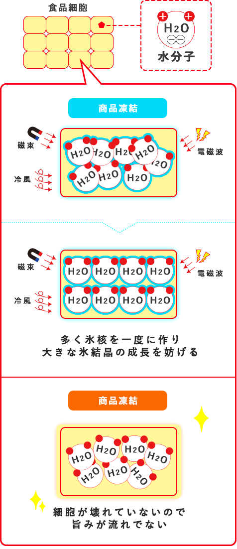 プロトン凍結